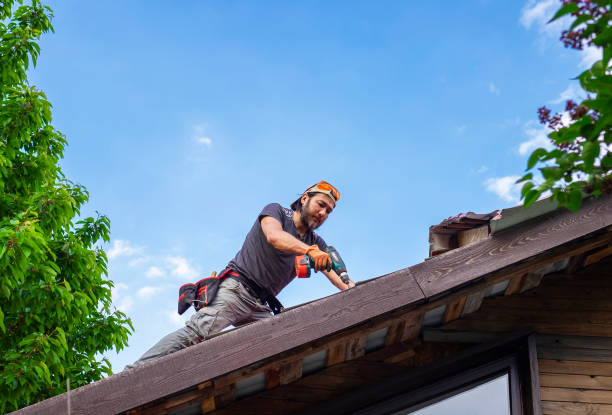 Best Roof Coating and Sealing  in Maiden, NC